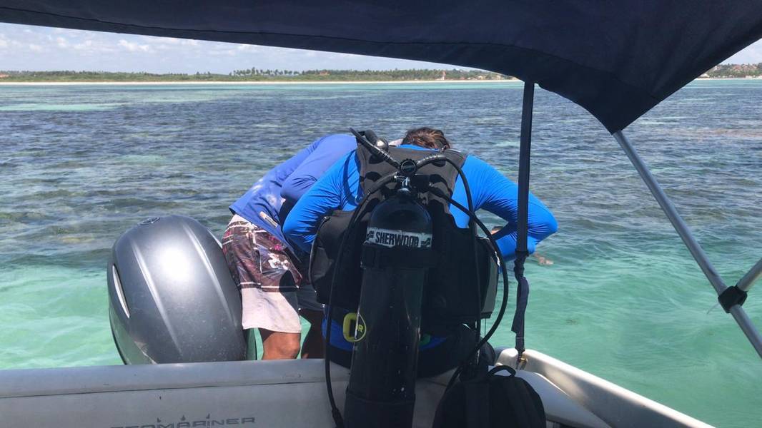Pesquisadores fizeram mergulho ontem em Ipioca e Paripueira e não encontraram vestígios de material tóxico