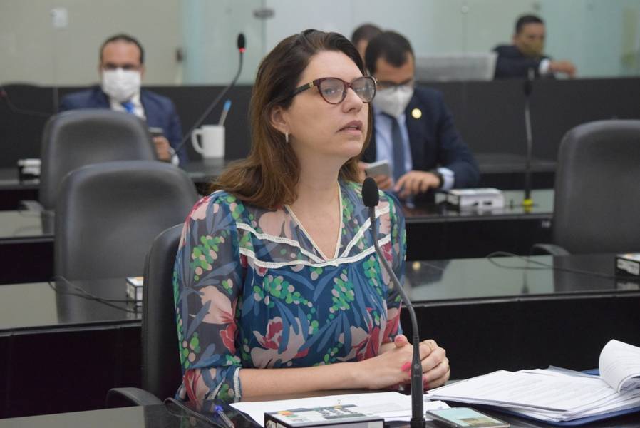 Deputada Jó Pereira pediu a palavra e reforçou a finalidade da criação da frente parlamentar durante a sessão