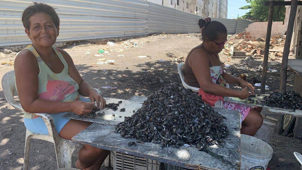 Marisqueira de Maceió conta a difícil vida despinicando sururu: “É assando e comendo”