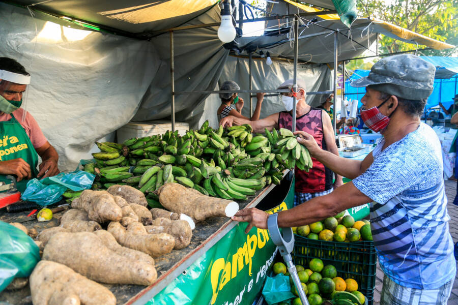 Os produtos orgânicos produzidos nos municípios alagoanos são livres de agrotóxicos
